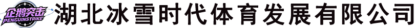 湖北冰雪时代体育发展有限公司